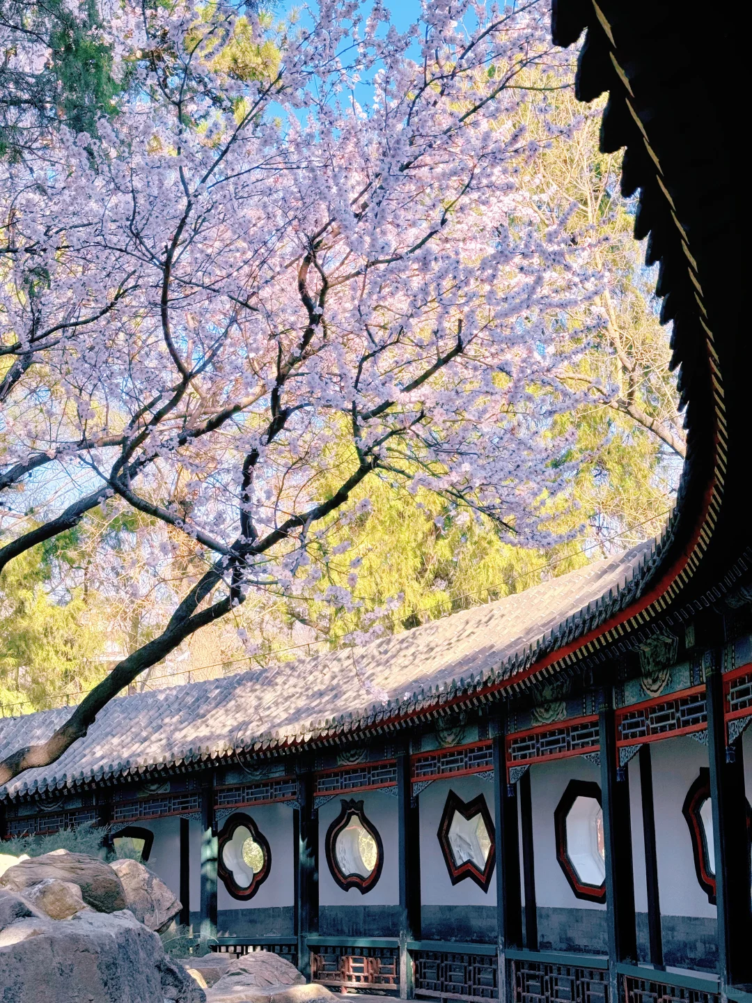 Summer Palace Peach