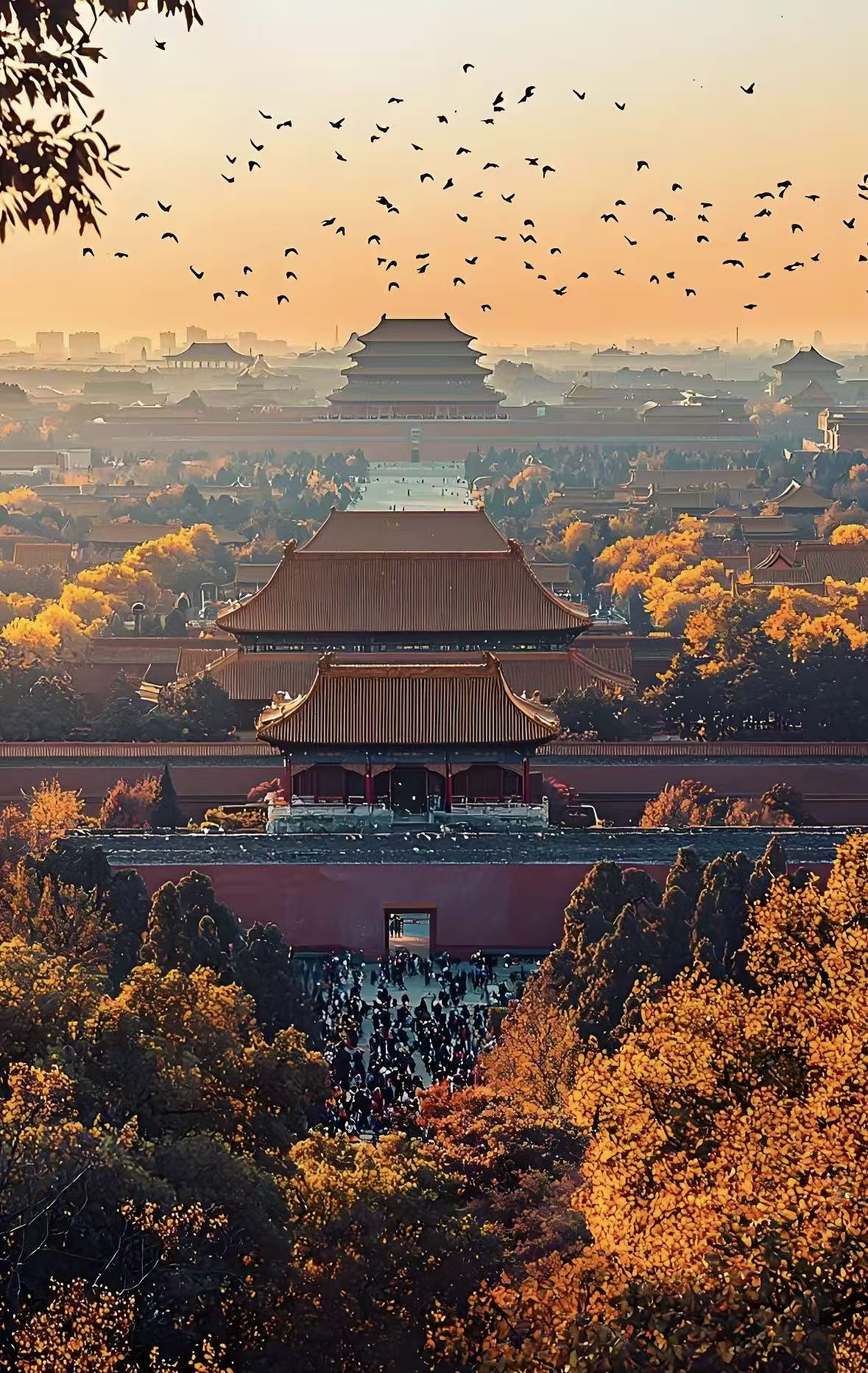 Beijing Forbidden City