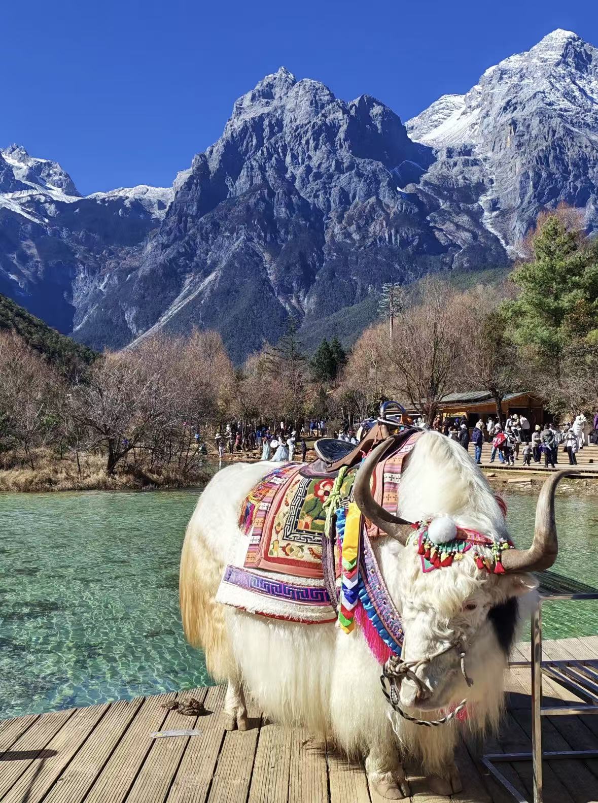 Yunnan Mountains